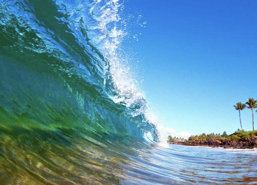 Tropical Waves